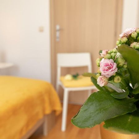 Apartment Nik - Cosy And Stylish Дубровник Экстерьер фото
